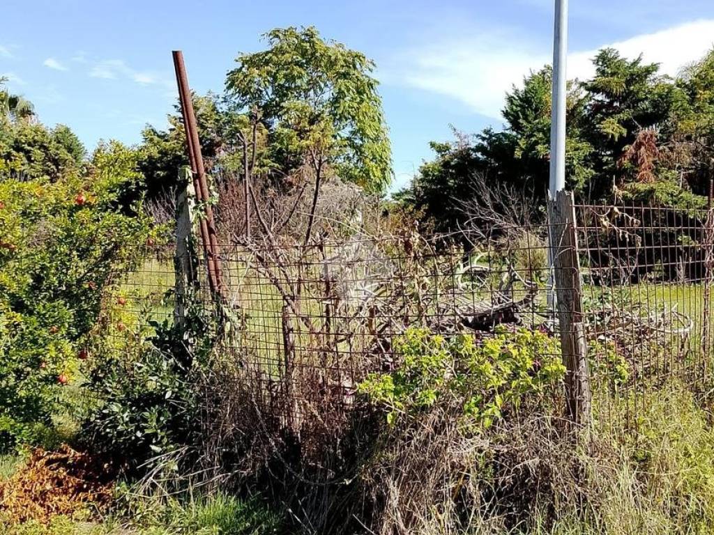 Terreno