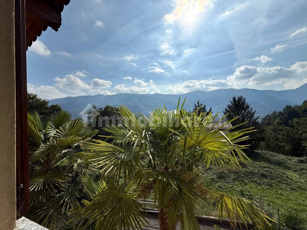 Vista