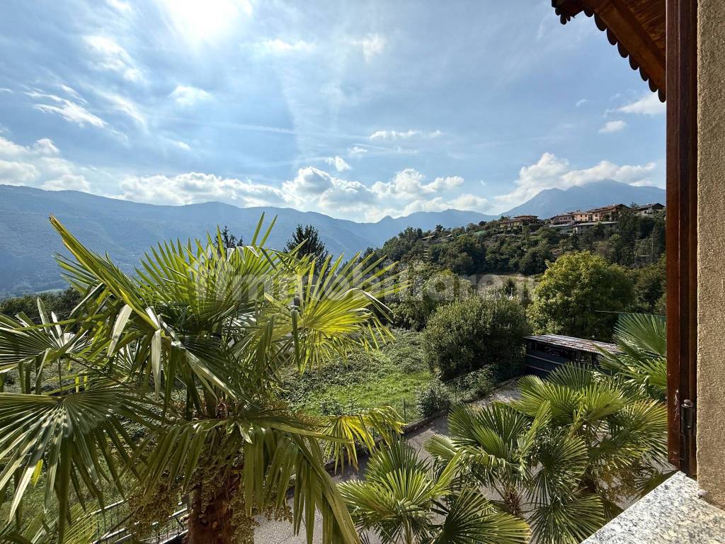 Vista