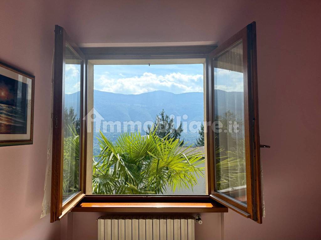 Vista