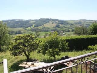 Vista