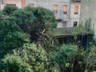 Zona