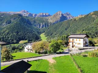 Vista