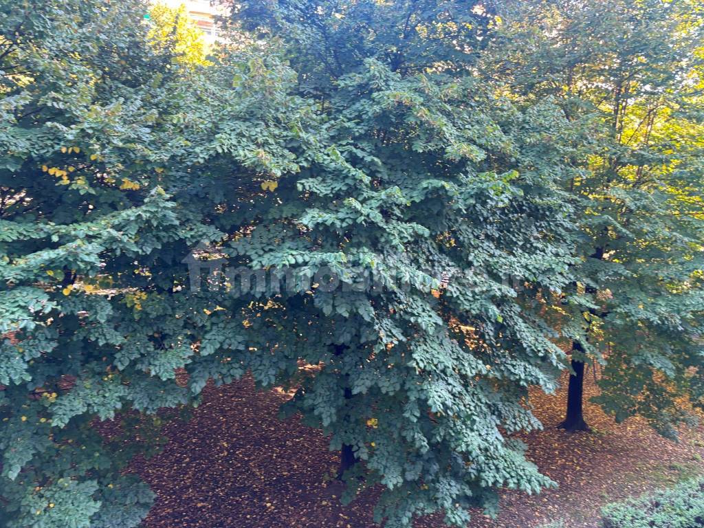 2 stanze singole in Regio Parco, foto 14 di 18