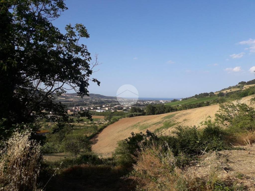 Vista