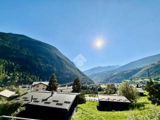 Vista