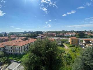 Vista