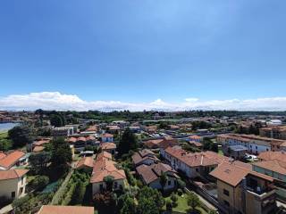 Vista