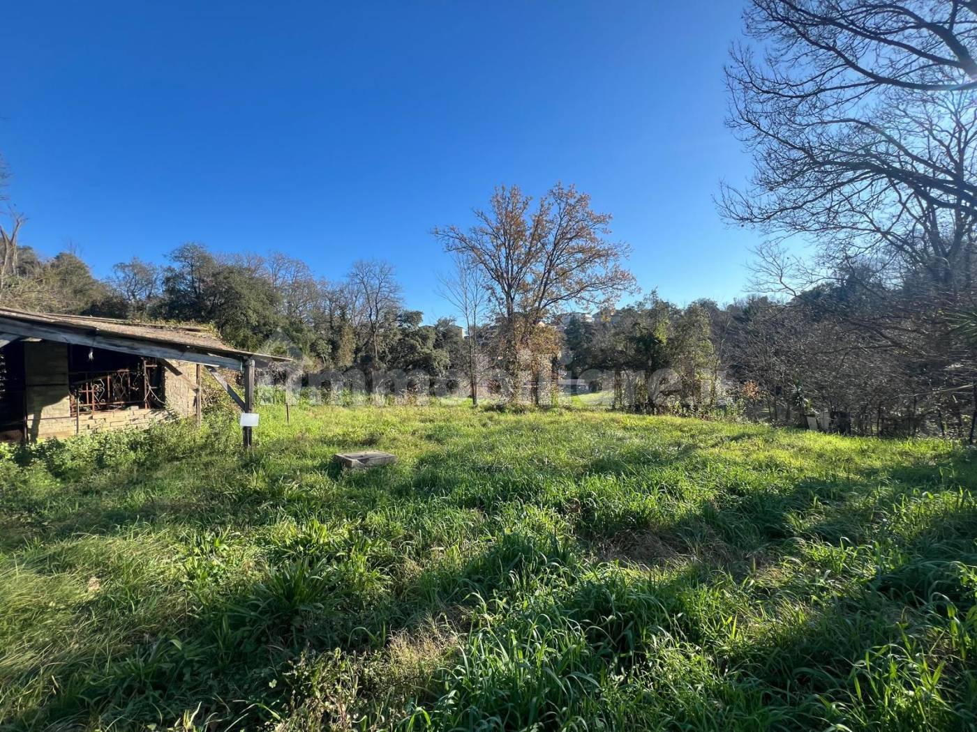 Rustico - Casale in vendita a Roma