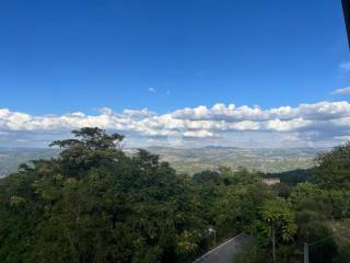 Vista