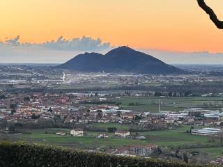 Vista
