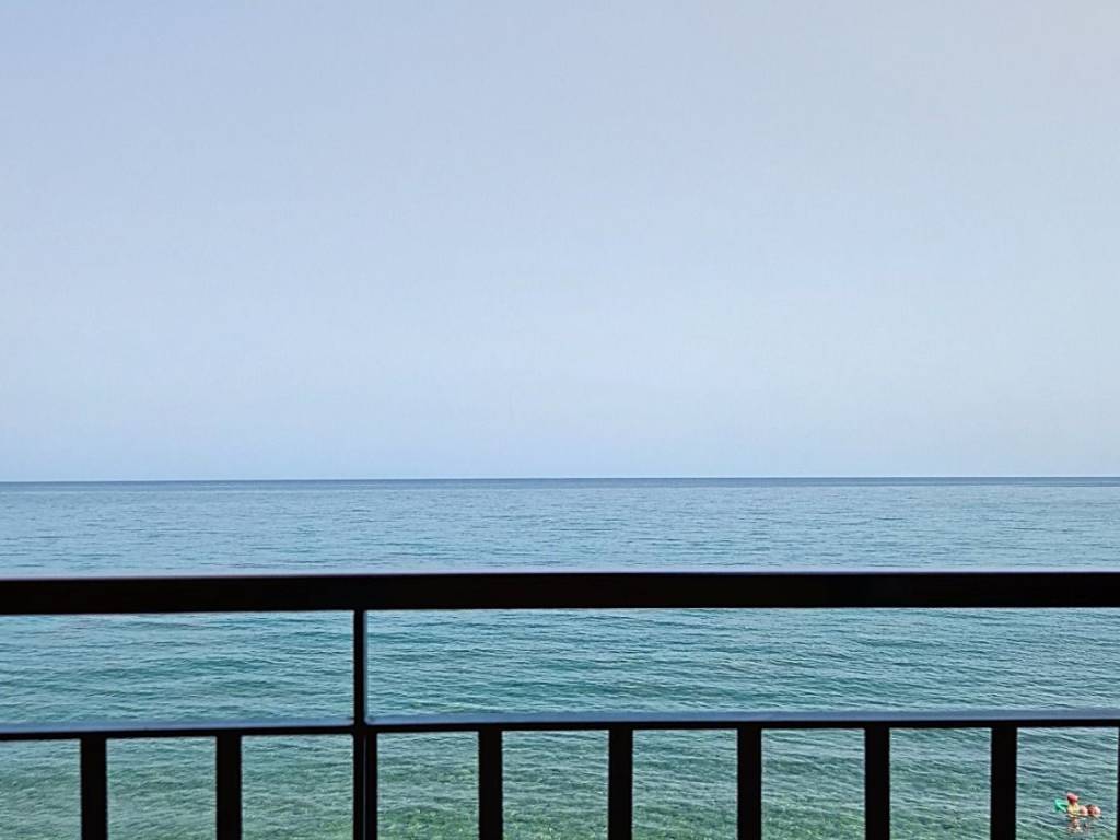 Vista