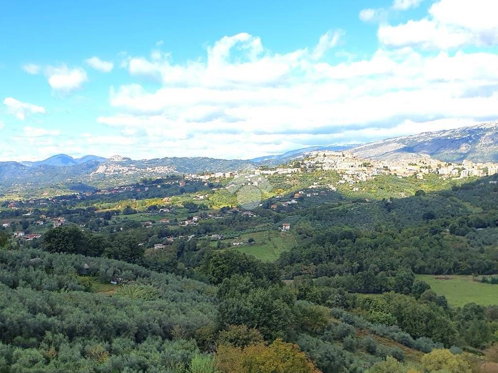 Vista