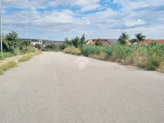 Zona