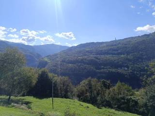 Vista