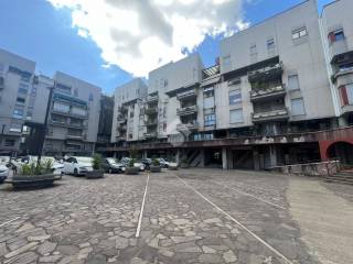 Zona