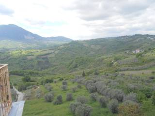 Vista