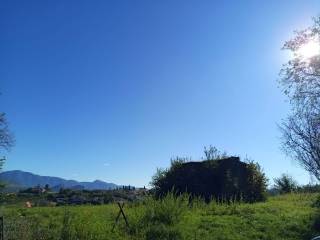 Vista