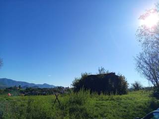 Vista