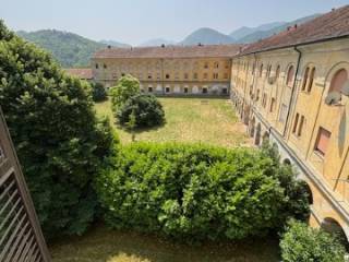 Vista