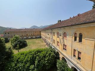 Vista