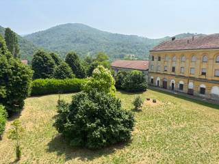 Vista