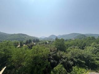 Vista