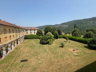 Vista