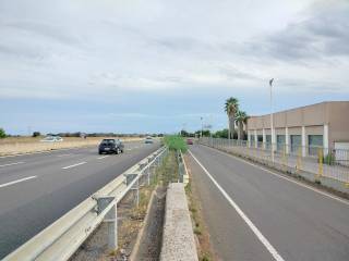 Zona