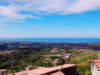 Vista
