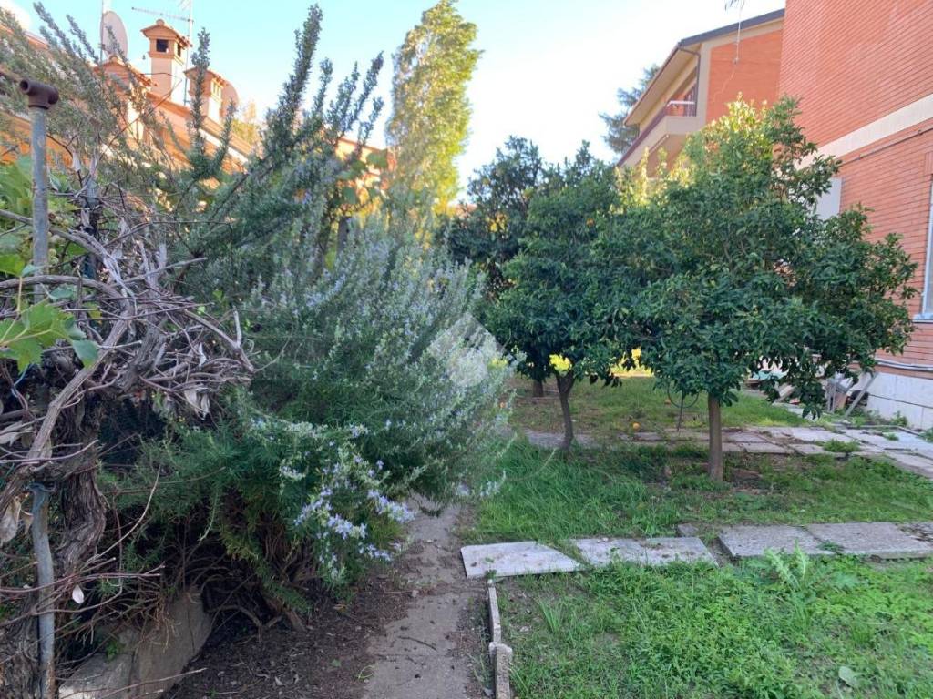 Appartamento via Morando Filippo Rosa 4, Casal Bernocchi, Roma