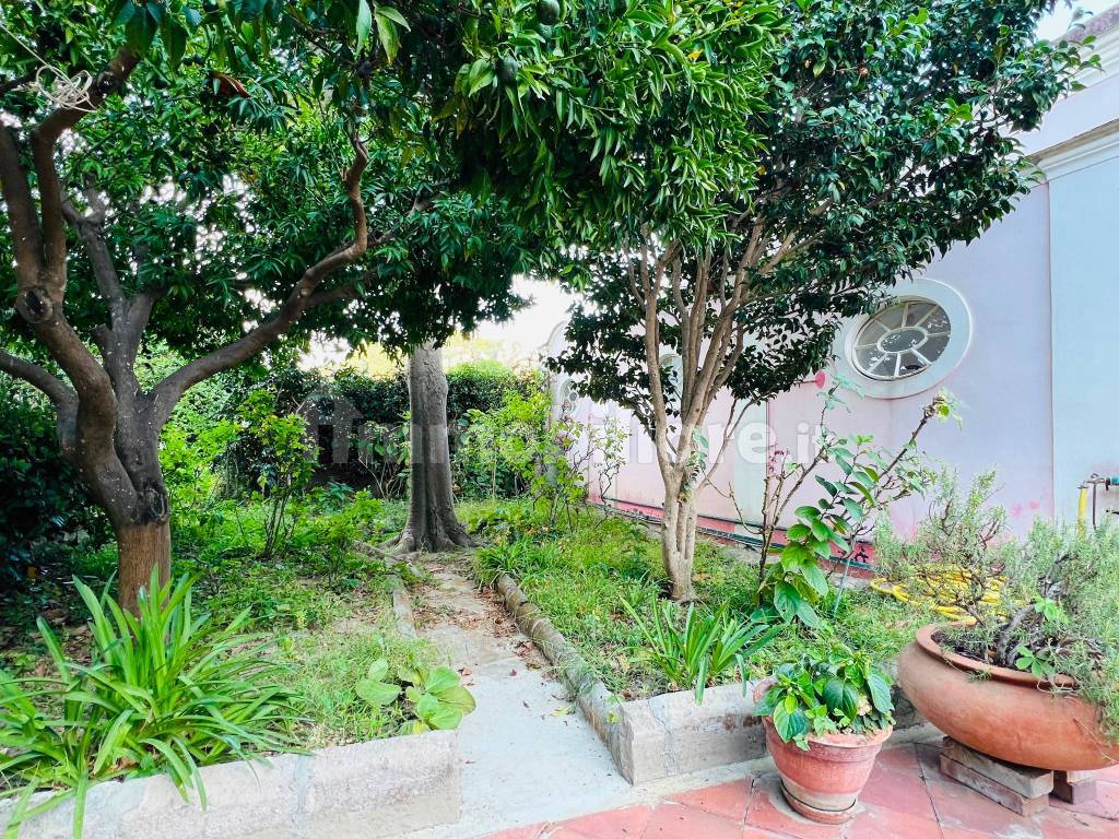 Giardino