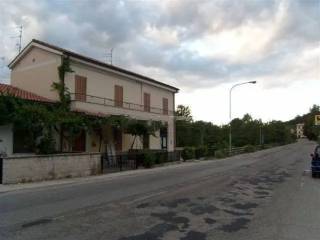 Zona