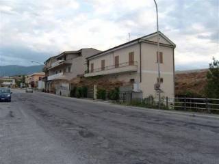 Zona