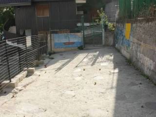 Zona