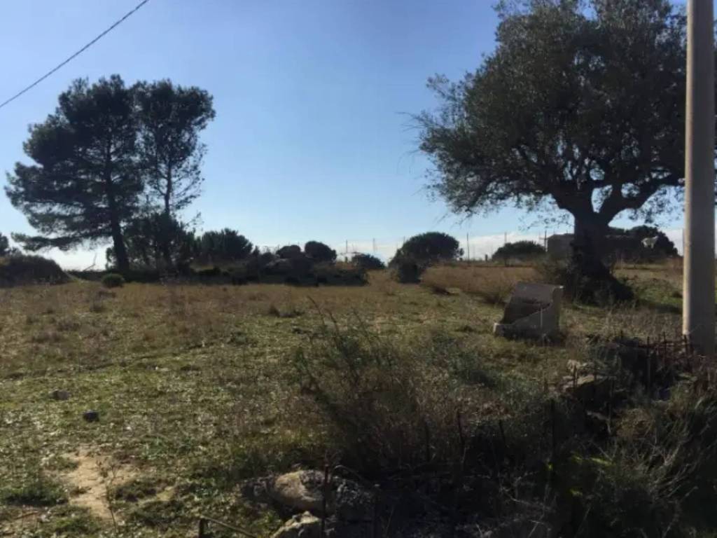 Terreno