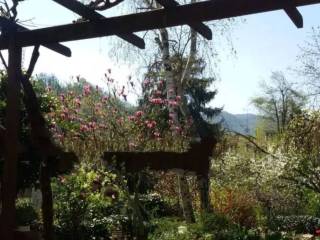 Zona
