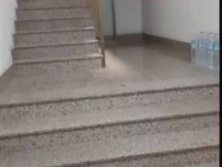 Scala