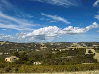 Vista