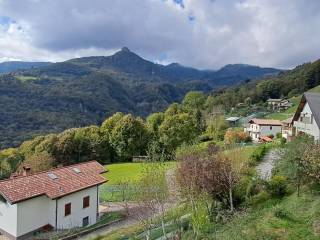 Vista