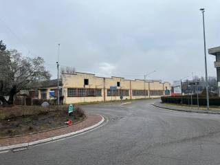 Zona