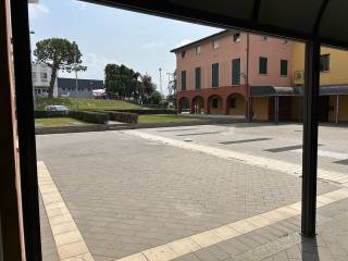 Zona
