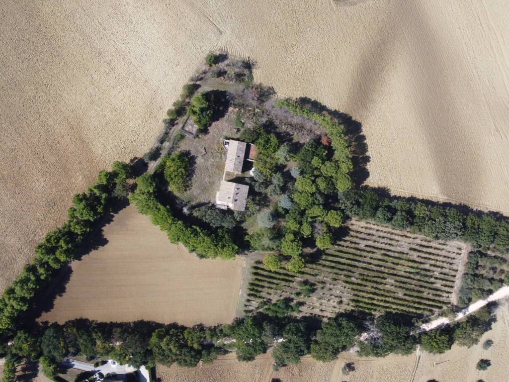 Terreno