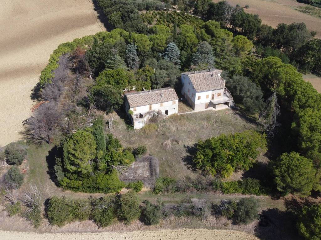 Vista