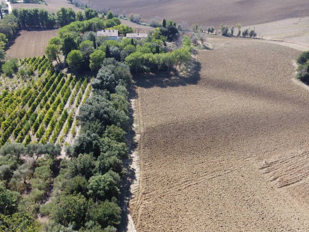 Terreno