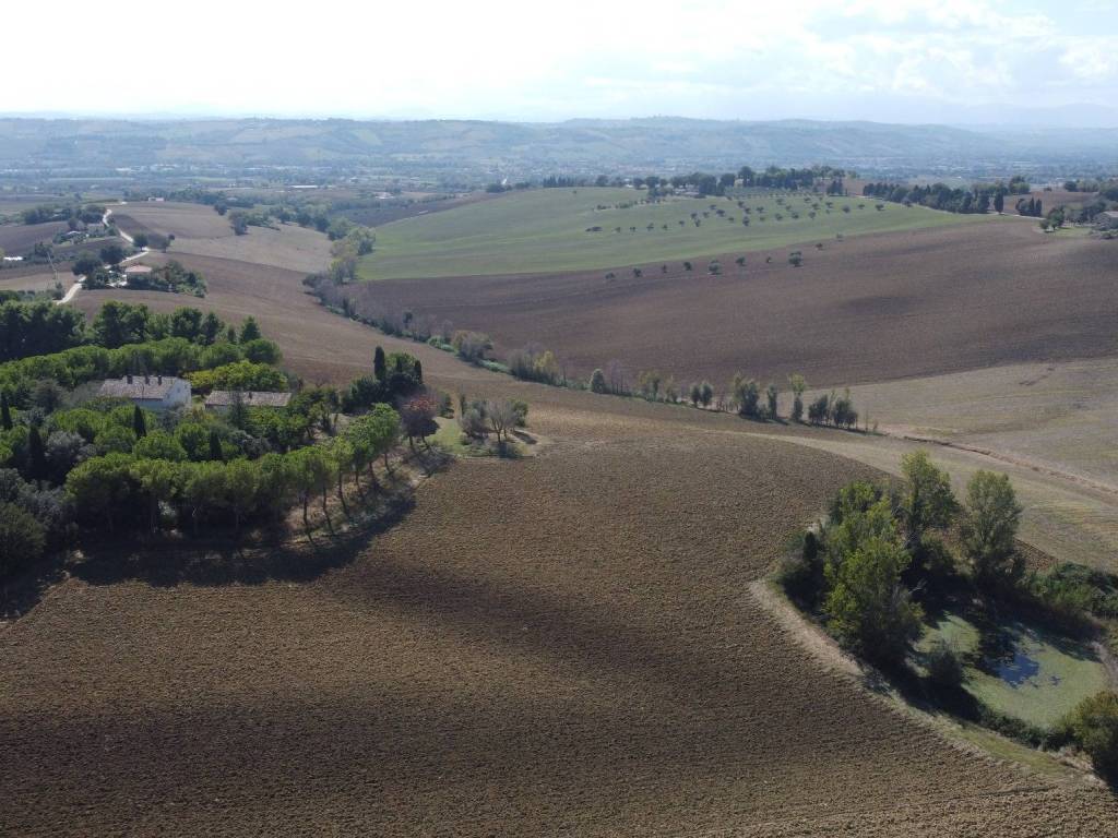 Vista
