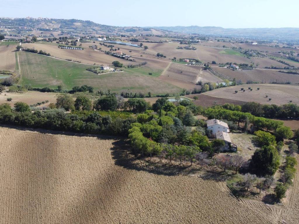 Vista