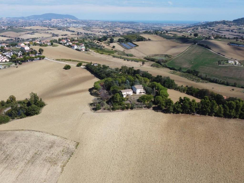 Vista