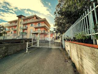 Zona