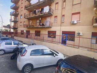 Zona